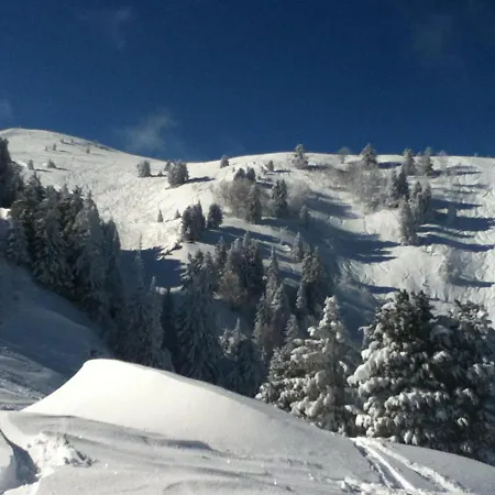 Mitoyen 3 Niveaux, Jusqu'a 8 Pers, Animaux Admis - Fr-1-549-105 Chamrousse